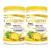 Colágeno Hidrolizado Sandy 1.1 Kg Polvo Pack De 2 Sabor