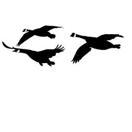 Waterfowl Decals Goose Honkers Flyin – Geese Flying in Decal- 2050 (Small, White)