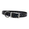 3/4" Wide Replacement Pet Collar Strap - Black