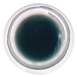 LIVING LIBATIONS - Organic BeDew Dab Ozonated Beauty Balm | Natural, Wildcrafted Clean Beauty (0.2 oz | 6 mL)