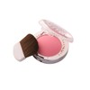 Prorance Makeup Prorance Transparent Blusher_No. 5 / 메이크업 프로랑스 투명