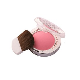 Prorance Makeup Prorance Transparent Blusher_No. 5 / 메이크업 프로랑스 투명 블러셔_5호