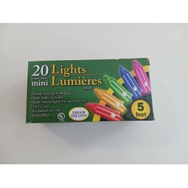 20 Count Multi Color Mini Light String