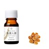 KAGAE Japanese Chinese Extract Ginseng Serum 0.4 fl oz (10