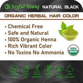 100% Organic Henna Hair Color – Natural, Chemical-Free Hair Dye for Rich, Vibrant Color & Gloss – Grey Coverage, Safe for All Hair Types, Vegan Non-Toxic, Herbal Hair Treatment (NATURAL BLACK)