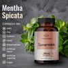 Spearmint 100 Capsules - 1000 mg - Organic Mentha Spicata