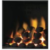 10 GAS FIRE CAST COALS REPLACEMENTS/LONG LASTING RCF/BIO BY COALS