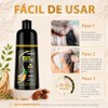 Black Hair Dye Shampoo 3 in 1, Shampoo Tinte Cubre