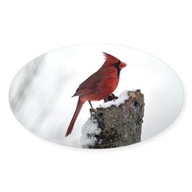 CafePress Cardinal On Stump Oval Car Bumper Sticker