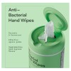 Biopure 2 Antibacterial Hand Wipes Fresh Morning Breeze 100 CT