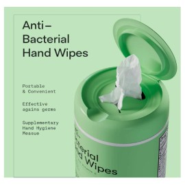 Biopure 2 Antibacterial Hand Wipes Fresh Morning Breeze 100 CT with Aloe and Vitamin E
