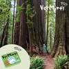 VerMints Organic Breath Mints Wintergreen - Real Long-Lasting Refreshment, Travel