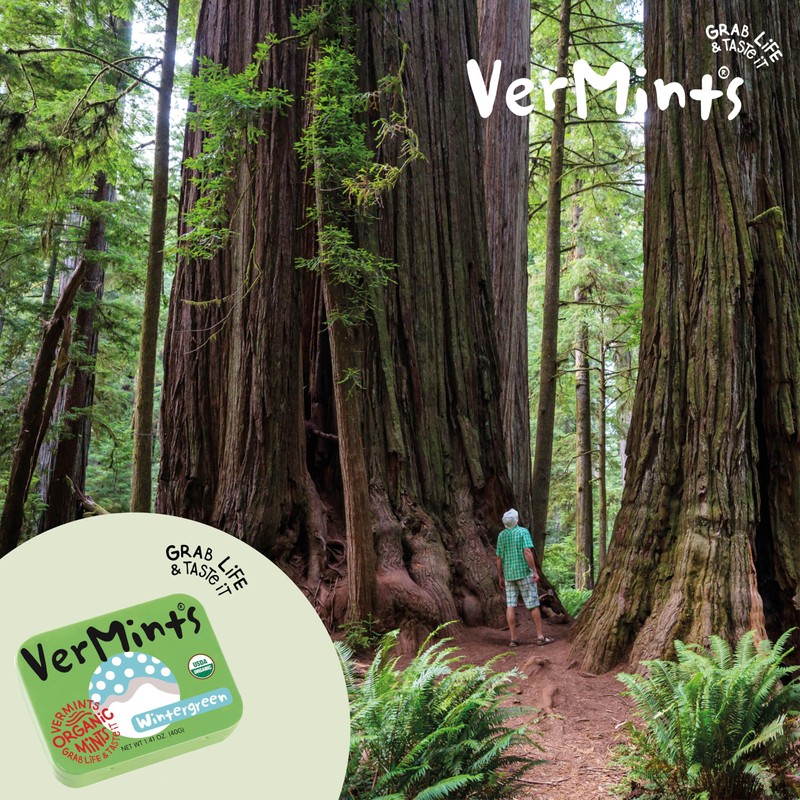 VerMints Organic Breath Mints Wintergreen - Real Long-Lasting Refreshment, Travel