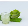Química Rex Gel Aloe Vera 1kg Hipoalergénico Libre Parabenos Piel