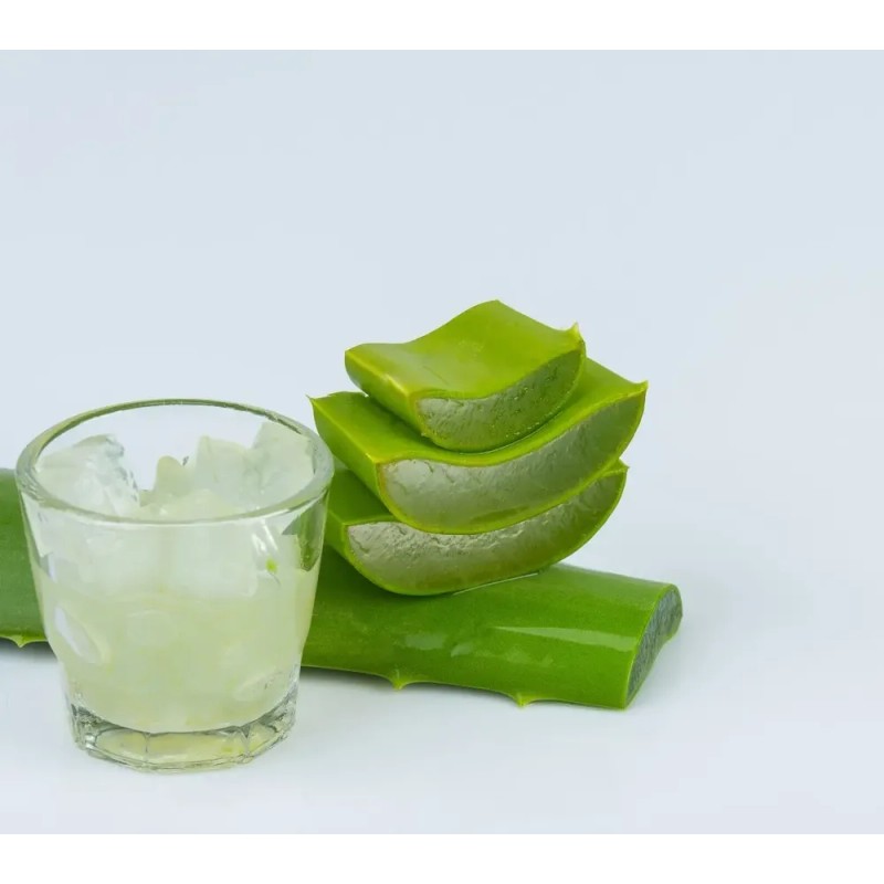 Química Rex Gel Aloe Vera 1kg Hipoalergénico Libre Parabenos Piel