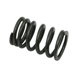 Valve Spring, for Aircooled VW, OEM Replacement, Each, Compatible with Dune Buggy