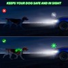Light Up Dog Harness No Pull LED Dog Harness with