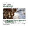 nutrinus 프리미엄 매스틱 위 메스틱검 그리스 키오스산 오일 정 알약
