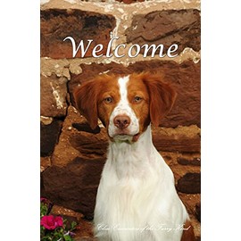 Brittany Spaniel - Best of Breed CEFK Welcome Photo Garden Flag