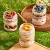 Spreccio 6-Pack 16oz Glass Jars with Airtight Lids,Overnight Oats Containers