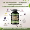 Gade Nutrition Resveratrol Berberine Quercetin Grape Seed Extract Green Tea