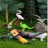 kukifun 30 Piece Bird Set, Realistic Bird Figures, Parrot, Owl,