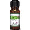 Basil Essential Oil - 100% Pure Blue Diamond Therapeutic Grade