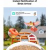 HARYMOR Smart AI Bird Feeder with Camera: Solar-Powered, 2K Live
