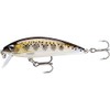 Rapala X-Rap CountDown Lure with Two No. 10 Hooks, 0.6-1.2