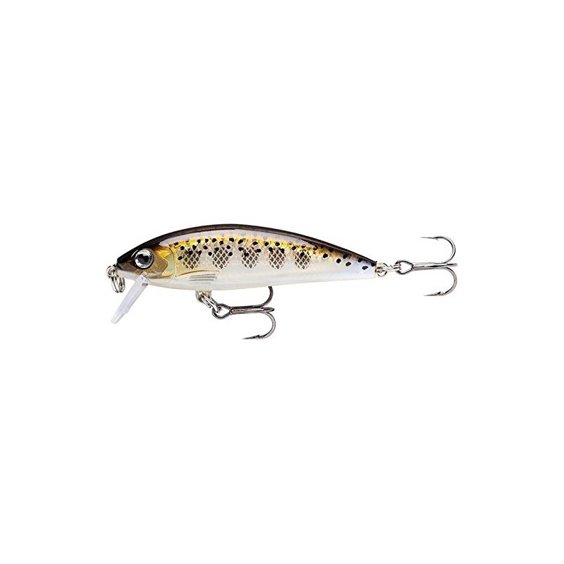 Rapala X-Rap CountDown Lure with Two No. 10 Hooks, 0.6-1.2