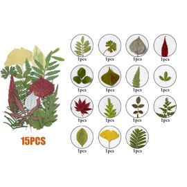 Cayway 36 Pieces Dried Pressed Leaves, Natural Dried Flowers, Natural Dry Leaves with Tweezers for DIY Resin Jewellery Nail Crafts Art Flower Decoration