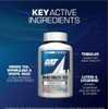 GAT Sport Men's Multi + Test, Premium Multivitamin Tablets (150