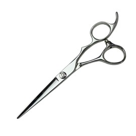 [axis] SG Scissor 6.0 Inch Hairdresser Hair Cutting Scissors [Axis]