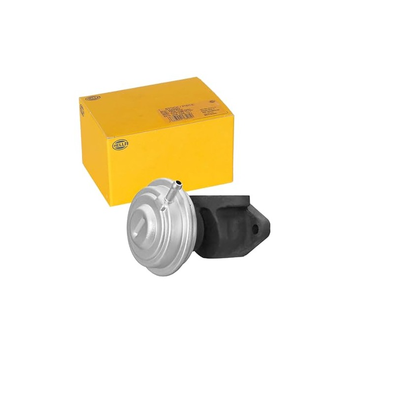 HELLA 6NU 014 865-441 EGR Valve Pneumatic with Seals