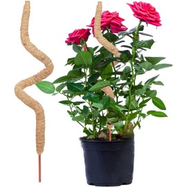 Tutor para Plantas Trepadoras, Poste de Musgo Plegable para Plantas Monstera, Poste de Musgo Flexible para Plantas, Varilla Flexible para Musgo, Trepadoras Estacas para Plantas de Interior