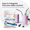 Swedish Nutra Powder Marine Collagen - Pack of 300g, 30