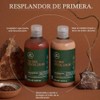 Tea Tree Tea Tree Special Color Shampoo, 10.14 Fl Oz