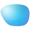 Reptile Suncloud Sentry Polarized Sunglass Replacement Lenses Blue Mirror Bi-Focal