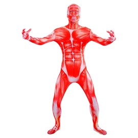 VSVO Muscle Anatomy Costume Bodysuits (Large)
