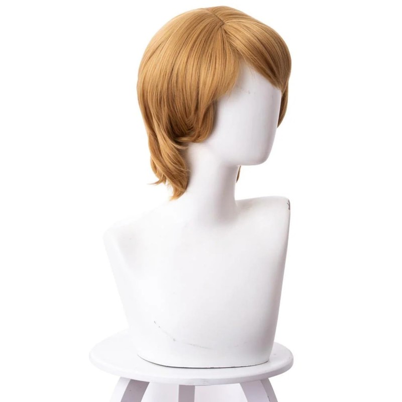 abouder Men Brown Cosplay Wig Short Layered Natural Fluffy Hair