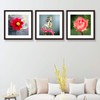 VITOIVE 18x18 Frame Black With Mat 14x14 Solid Wood Picture