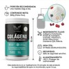 Colágeno Hidrolizado Granada/arándano | Vitamina C, Q10 e Hialurónico
