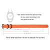 Nylon Watch Band Replacement Thick 3 Rings (18mm, 19mm, 20mm,