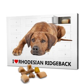 printplanet Dog Advent Calendar with Treats - Motif I Love Rhodesioan Ridgeback - Christmas Calendar for Dogs - 2024