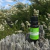 Kunzea Oil (Kunzea ambigua) - 100% Pure Essential Oil [Therapeutic