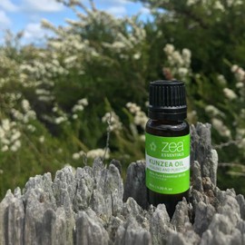 Kunzea Oil (Kunzea ambigua) - 100% Pure Essential Oil [Therapeutic Quality, Aromatherapist Approved, 100% Organic, Tasmanian Grown, Undiluted]