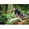 BELL Unisex 4forty Mips Cycling Helmet, Matt/Gloss Black, L 58-62