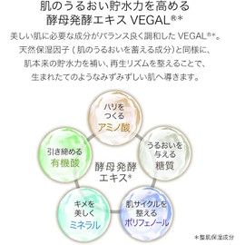  ALCHEMY Foaming Cleanser, 3.5 oz (100 g) (Facial Cleanser, Plant x Fermentation Skin Care)