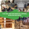 JT Eaton 409 Jawz Indoor Plastic Mouse Trap for Solid
