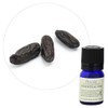 Flavor Life Essential Oil Tonka Beans Absolute 10% 0.1 fl
